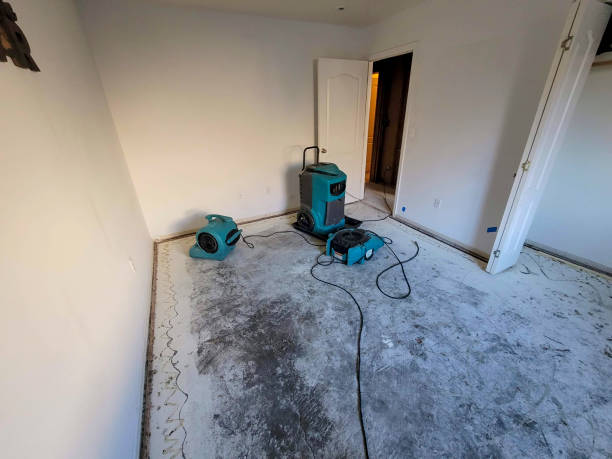 Best Water damage contractors near me  in Vernon, AL