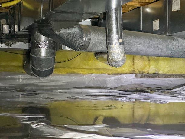 Best Ceiling water damage repair  in Vernon, AL